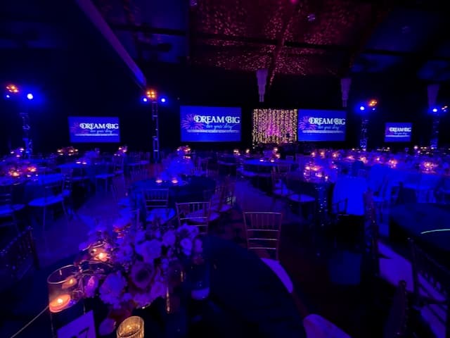 Dream Big Gala / Auction