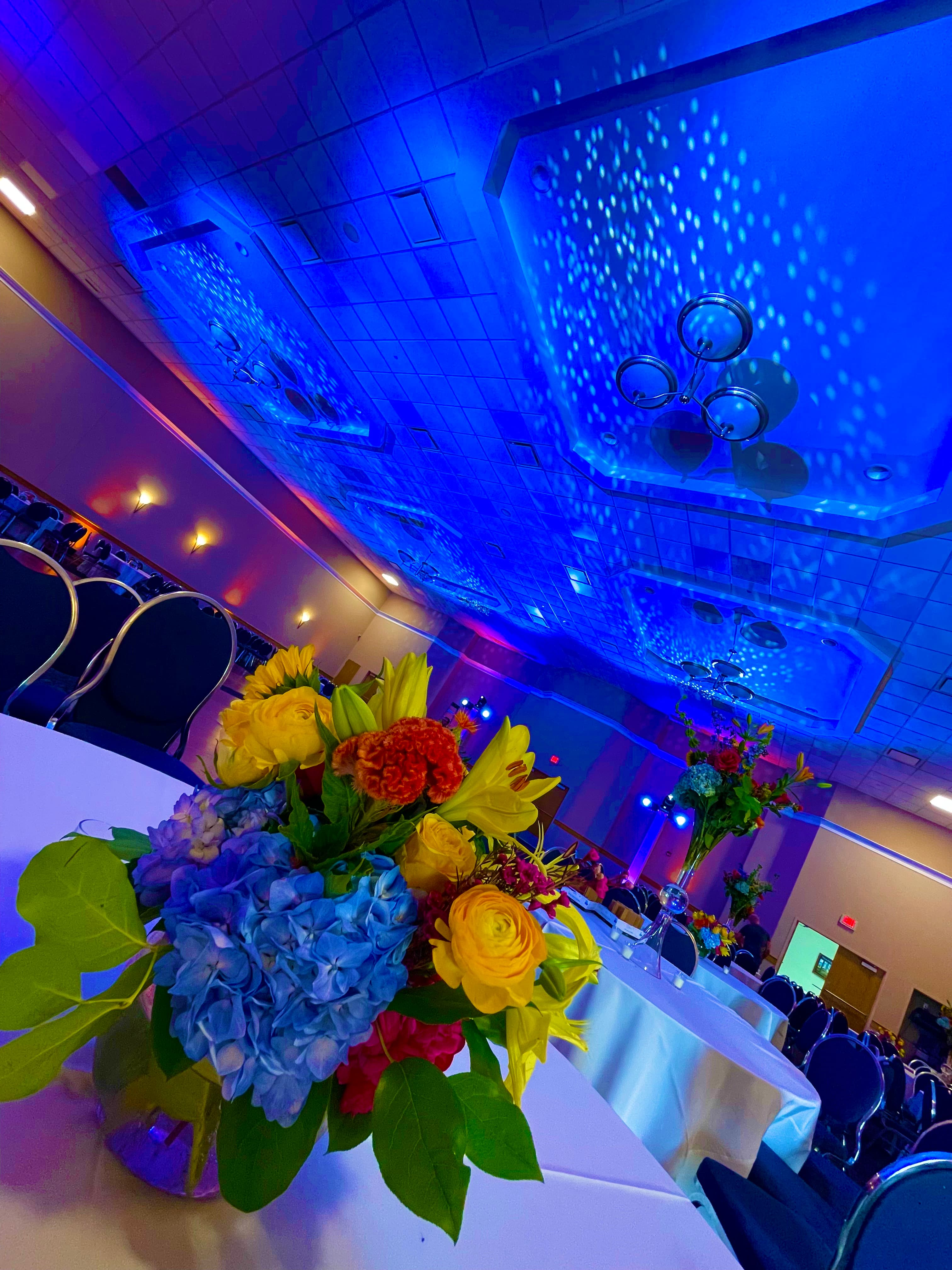 Reception Starry Night